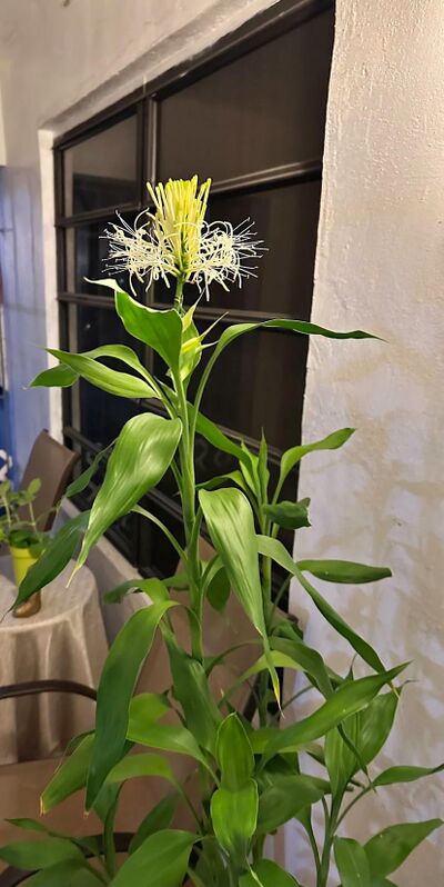 Sanchayan-65 - 9.jpg