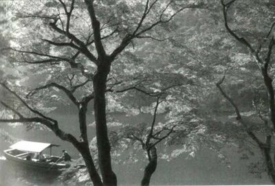 Sonanam Vruksho - Image 3.jpg