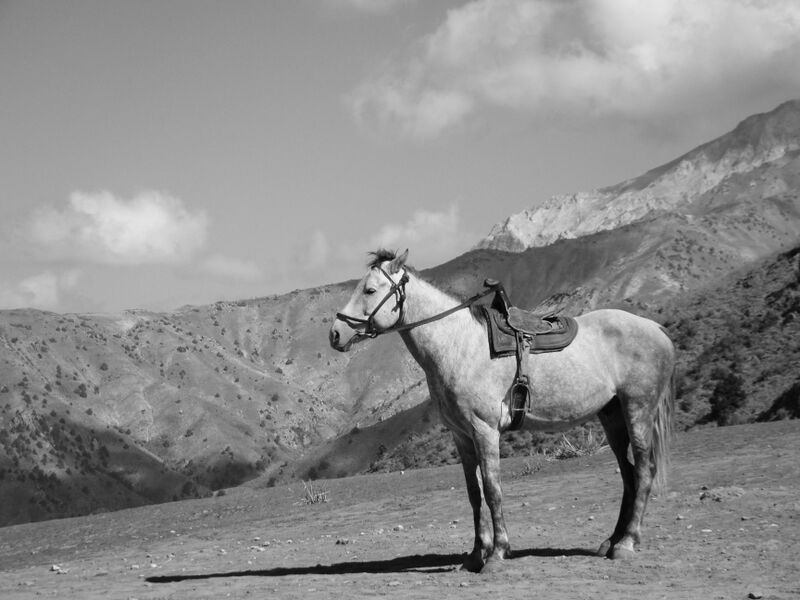 File:Ran to Resham 16.jpg