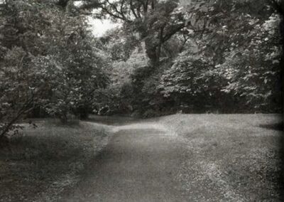 Sonanam Vruksho - Image 15.jpg