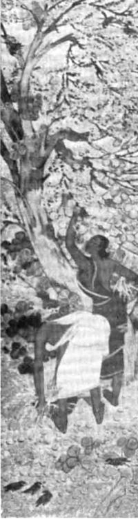 Sanchayan 61 - 11.jpg