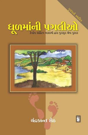 Dhulamani Pagalio book cover.jpg