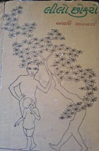 Lilo Chhokaro by Anjali Khandwala - Book Cover.jpg