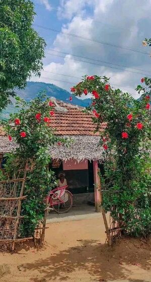 Sanchayan-65 - 11.jpg