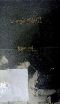 Maya Vini by Pururaj Joshi - Book Cover.jpg