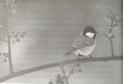 Sonanam Vruksho - Image 6.jpg