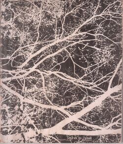 Chinnpatra Sujo 1642-1.jpg