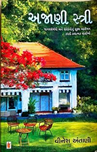 Anani Stree by Vinesh Antani - Book Cover.jpg