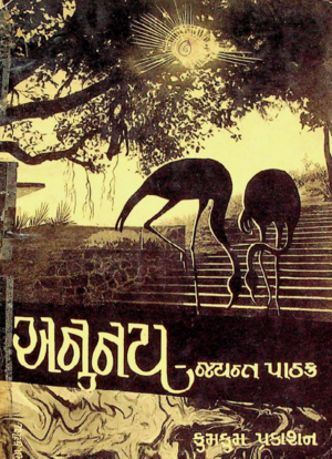 Anunay Book Cover.png