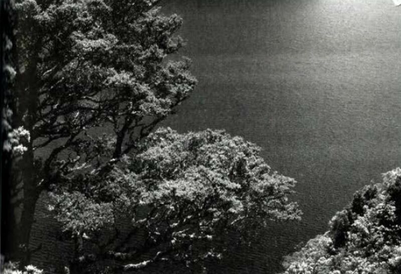 File:Sonanam Vruksho - Image 19.jpg